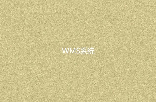 WMS系統適合小型企業嗎？
